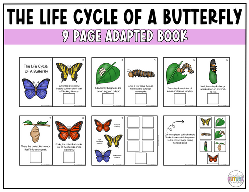 Butterfly Life Cycle Preview 2