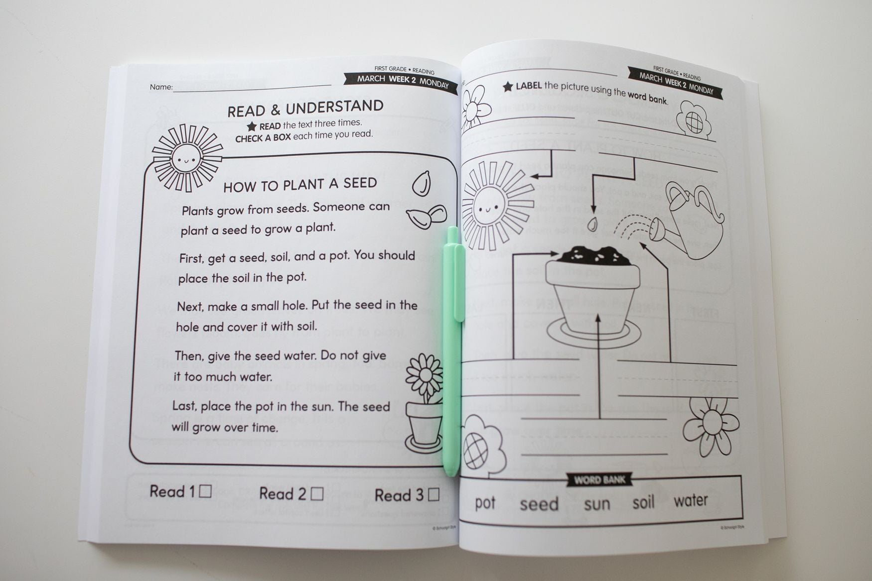 Ultimate First Grade March Thematic Unit Bundle