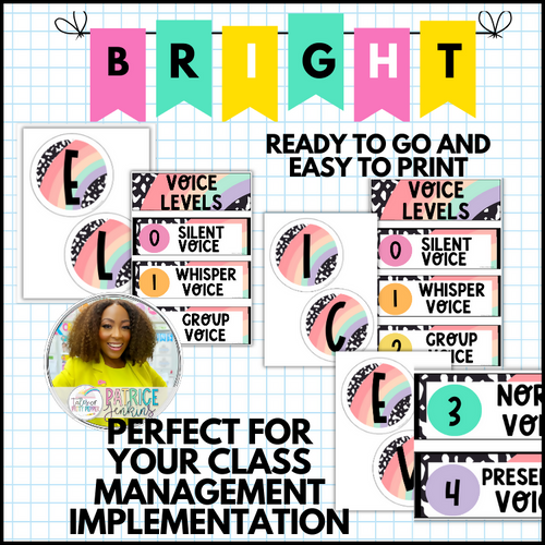 Bright Student Voice Level Posters