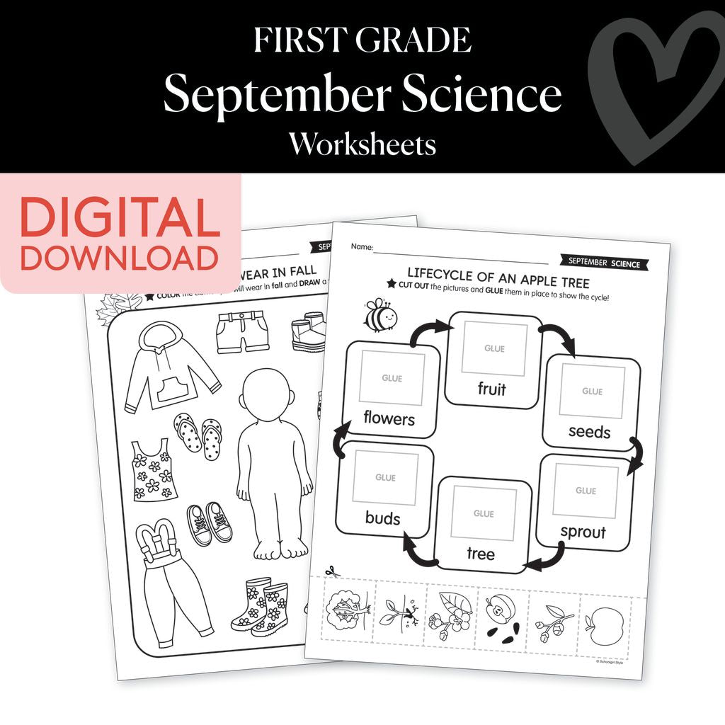 First Grade September Science Worksheets