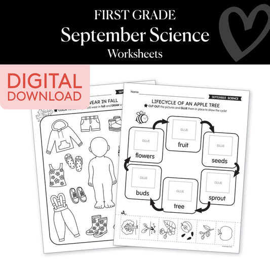 First Grade September Science Worksheets