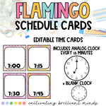 Editable Daily Schedule Cards | Flamingo Themed | Summer Classroom Decor