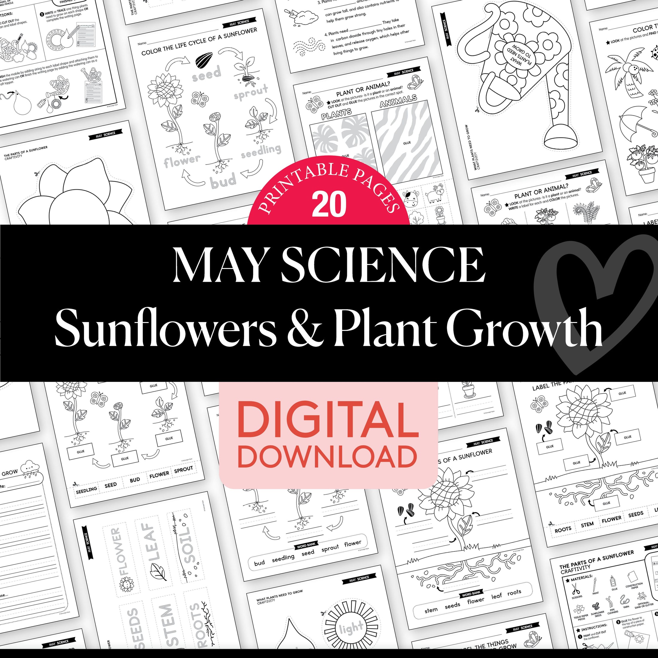 Printable May Science Activities