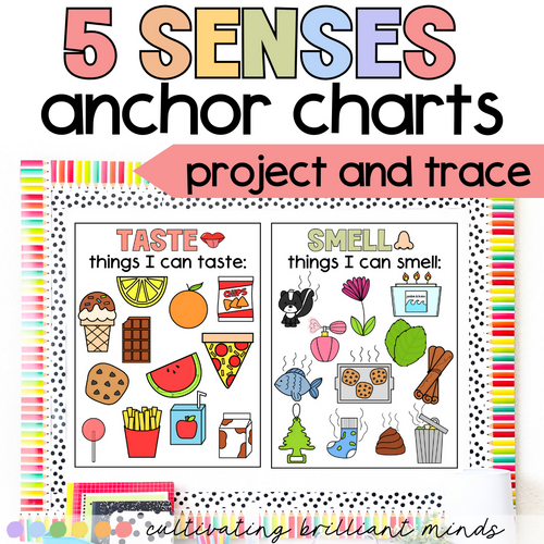 5 Senses Anchor Charts | Kindergarten Anchor Charts, First Grade | Science