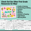 Load image into Gallery viewer, Printable First Grade May Daily Math

