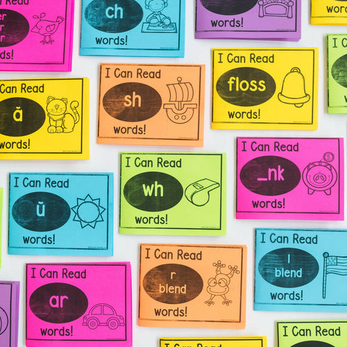 Phonics Mini Books- Science of Reading Aligned by Miss DeCarbo