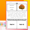 Interactive Vocabulary Reading Passages | Printable Classroom Resource | Miss DeCarbo
