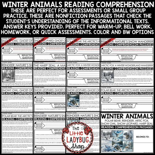 Winter Animals Reading Comprehension Passages | Printable Teacher Resources | The Little Ladybug Shop