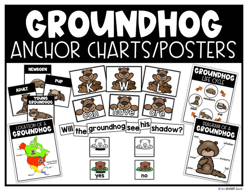 All About Groundhogs, Groundhog Day Craft, Groundhog's Day Math & Literacy