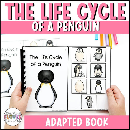 Life Cycle of Penguin
