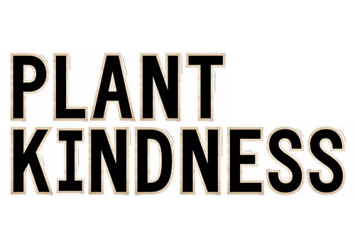 "Plant Kindness" Inspirational Classroom Headline Simply Boho by UPRINT