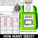 Flower Seed Math Bundle | Printable Classroom Resource | Glitter and Glue and Pre-K Too
