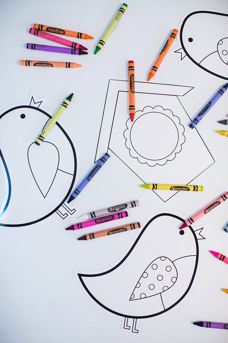 Bird Cut Outs | Color My Classroom | UPRINT | Schoolgirl Style