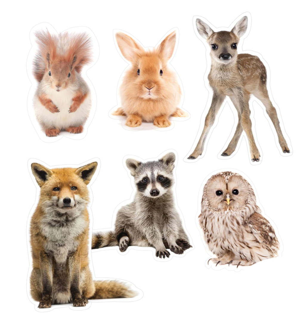 Wild Animals Cutouts (24 PNGs)