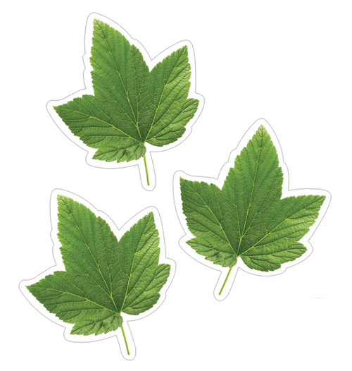 Woodland Whimsy Green Leaves Cut-Outs by CDE