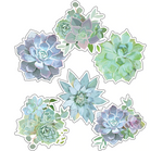 Simply Stylish Succulent Cutouts by CDE