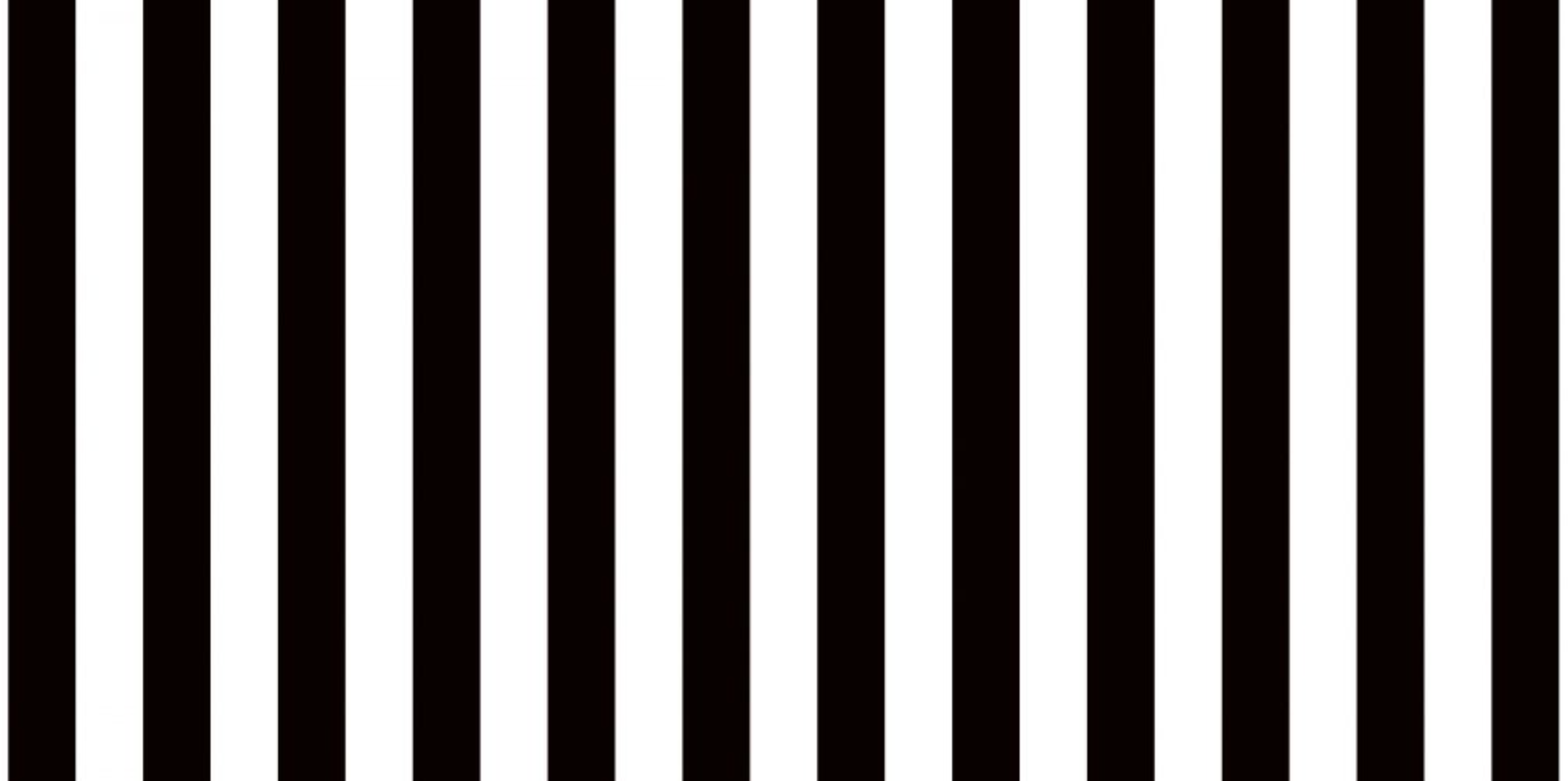 Schoolgirl Style - Simply Stylish Tropical Stripe Black & White 48X12