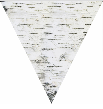 Paper Black & White Collection Pennant Bulletin Board Borders