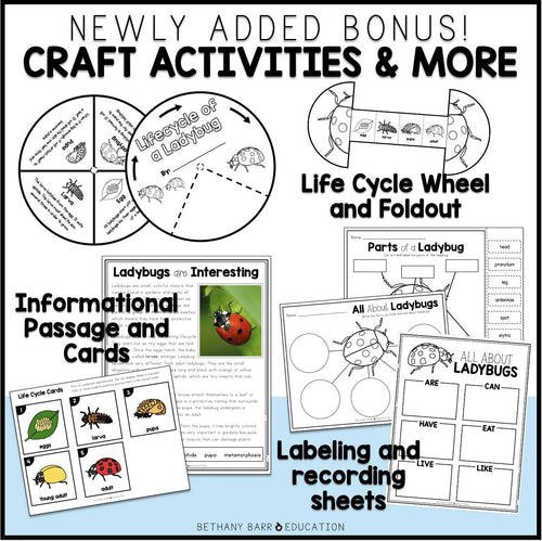 Ladybug Life Cycle Observation Journal | Ladybug Craft + Activities