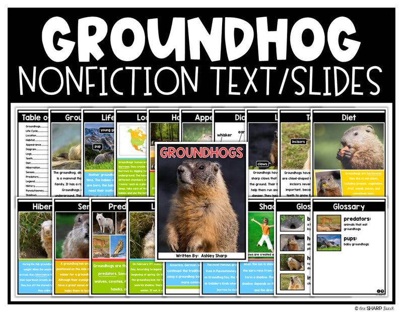 All About Groundhogs, Groundhog Day Craft, Groundhog's Day Math & Literacy