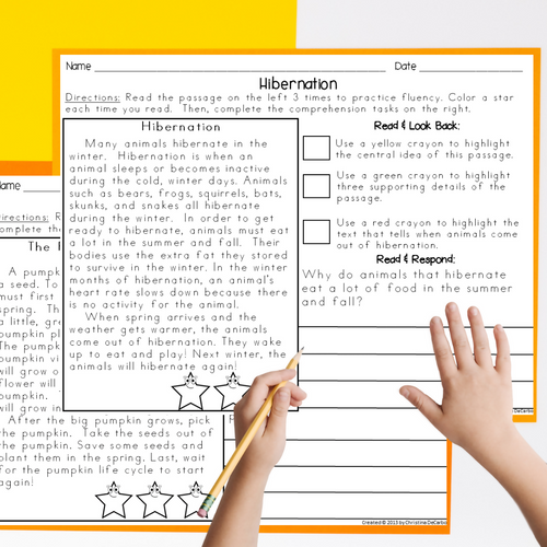 Reading Comprehension Passages | Printable Classroom Resource | Miss DeCarbo