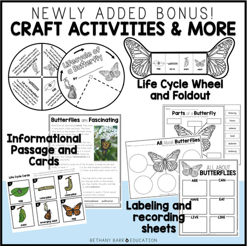 Butterfly Life Cycle Observation Journal | Butterfly Craft + Activities