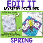 Color By Code -Sight Word Mystery Picture - Winter, Spring, Summer & Fall Bundle | Differentiated Kindergarten