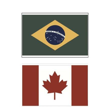 Medium Country Flag Cut Outs | World Traveler | Schoolgirl Style