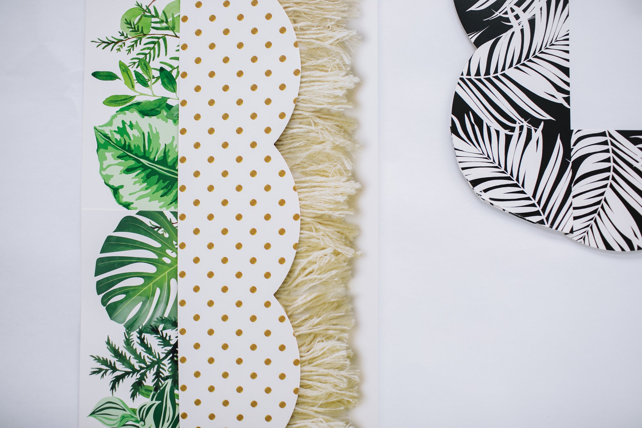 Black and White Fern  | Bulletin Board Border | Simply Boho | Schoolgirl Style