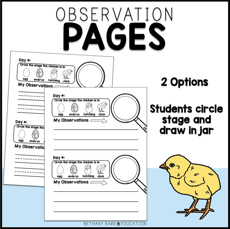 Chicken Life Cycle Observation Journal | Chicken Craft + Activities