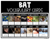 All About Bats, Bat Craft, Bat Math & Literacy, Halloween Craft & Activities | Printable Classroom Resource | One Sharp Bunch  